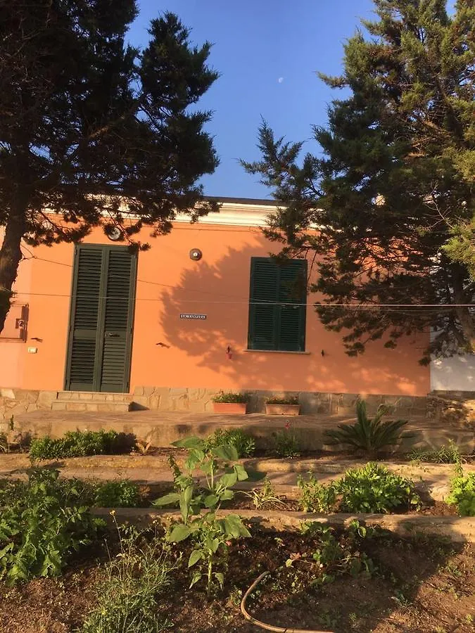 La Lampara Stintino Italie